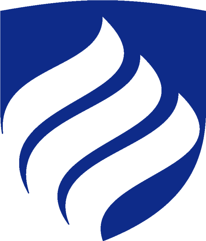 Shree Rastriy Secondary School